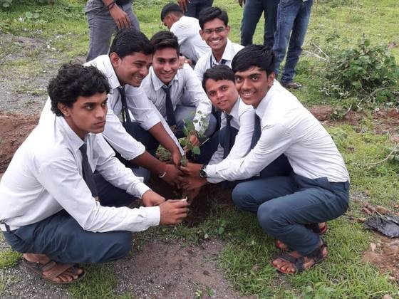 Tree Plantation