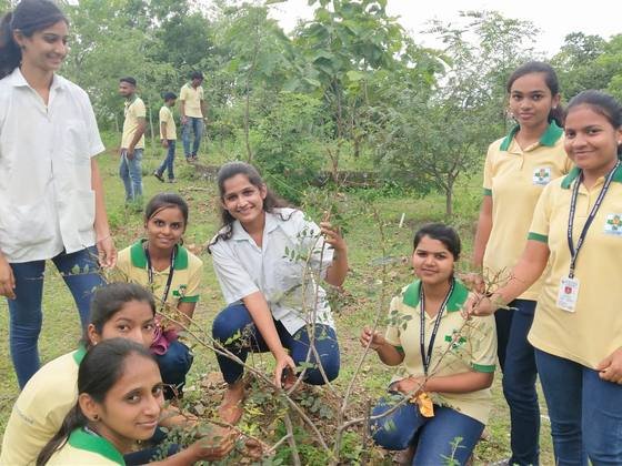 Tree Plantation